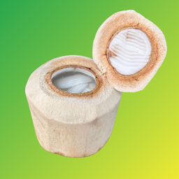 วุ้นในลูกมะพร้าว