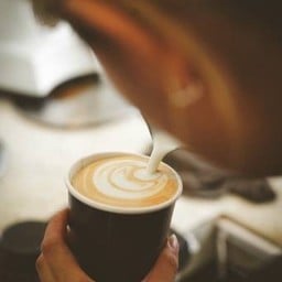 Minimal Coffee ต้นเปา