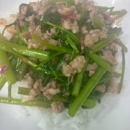 ผัดผักบุ้งหมูกรอบ  (ราดข้าว)