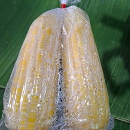Boiled Corn