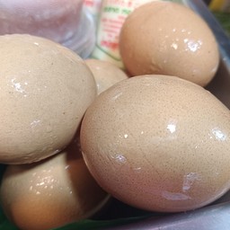 ไข่ไก่