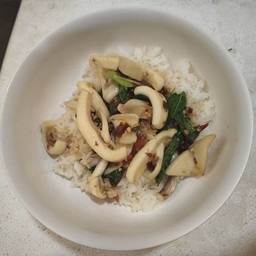 ข้าวกระเพราหมึก+ไข่หมึก