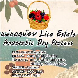 กาแฟดริป แม่แดดน้อย Lica Estate
