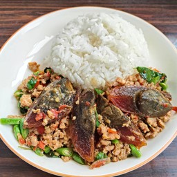 ข้าวกระเพราหมูสับไข่เยี่ยวม้า