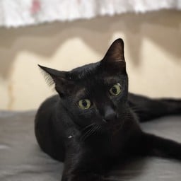 จกพุงแบล็กๆ