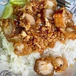 หมูกรอบผัดกระเทียมราดข้าว