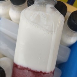 นมสดสตอเบอรี่