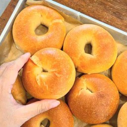 Plain bagel 