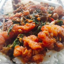 ข้าวกระเพราไก่กรอบ