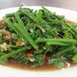 ยอดฟักแม้วผัดน้ำมันหอย