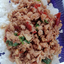ข้าวกระเพราไก่สับ