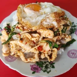 โครตสารพัดเพรา ข้าวกระเพรา20บาท ติวานนท์