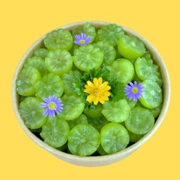 องุ่นไชน์มัสคัสปอกพร้อมทาน