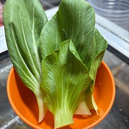 กวางตุ้ง