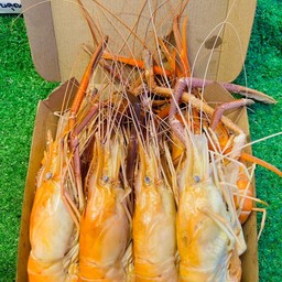 กุ้งโล