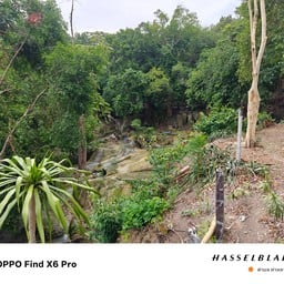 น้ำตกวังก้านเหลือง