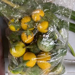 มะเขือบ้าน (มะเขือขื่น)