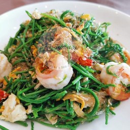 ผัดวุ้นเส้นชะอมกุ้ง