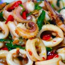 กระเพราหมึก (กับข้าว)