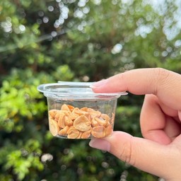 ถั่วลิสง