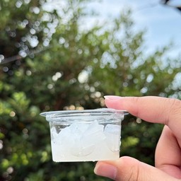 วุ้นมะพร้าว