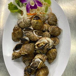 หอยหวานเผา (ครึ่งกิโล)