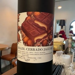 Brazil Cerrado jaguar