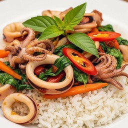 ข้าวราดกะเพราปลาหมึก