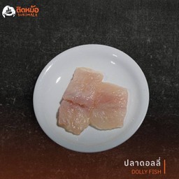 ปลาดอลลี่