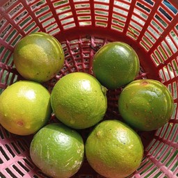 ร้านปังปิ้ง ย๊ะฮู้😘 ปราจีน