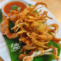 กระตอย คอยรัก