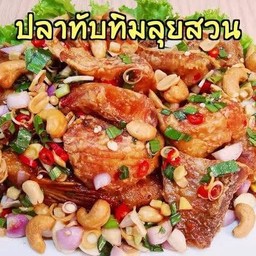 ปลาทับทิมทอดลุยสวน