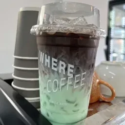 โกโก้มิ้นท์