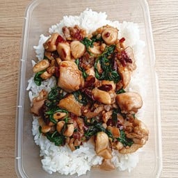 กะเพราไก่