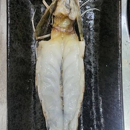 (A75)กุ้งจัมโบ้อบชีส