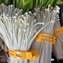 เห็ดเข็มทอง