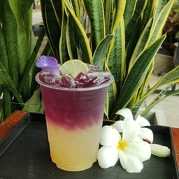 อัญชันน้ำผึ้งมะนาว