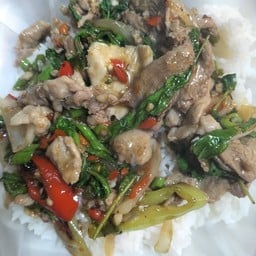 ป้าแมว อาหารตามสั่ง ข้าวแกง หน้า มฟล.