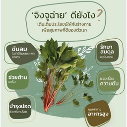 เพิ่มจิงจูฉ่าย