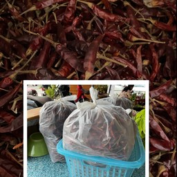 พริกแห้งศรีสะเกษ (ถุงครึ่งโล) เผ็ดมาก