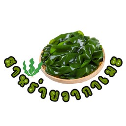 สาหร่ายวากาเมะ