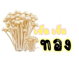 เห็ดเข็มทอง