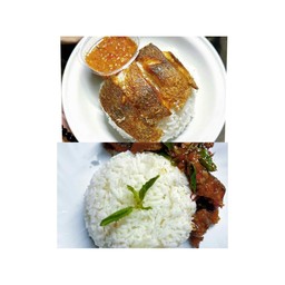 [เซตสุดฮิต] ข้าวปลาแกะ + ผัดกะเพราปลาทอดกรอบราดข้าว