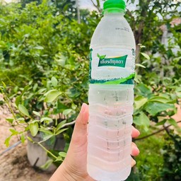 น้ำเปล่า