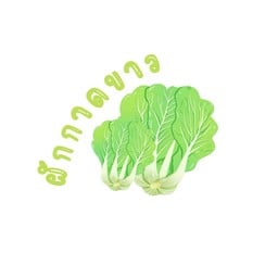 ผักกาดขาว