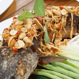 ปลาช่อนโบราณ