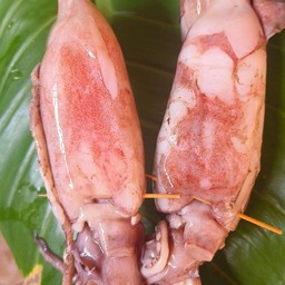 หมึกไข่ไซส์จัมโบ้