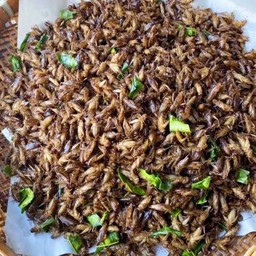 คั่วแมลงสดิ้งไข่รสเด็ด