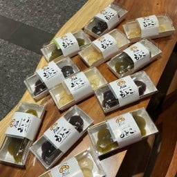TOKYO WARABI MOCHI MOTOKO -