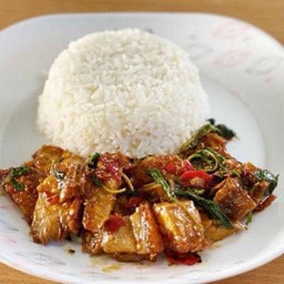 ข้าวกะเพราหมูกรอบ